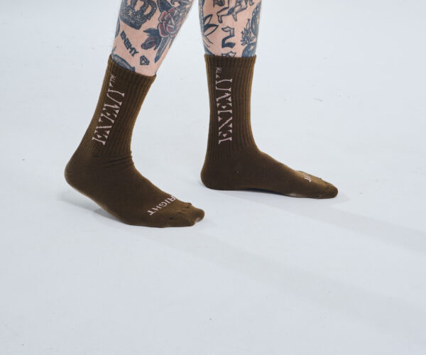 Enemy TM | Socks | Brown